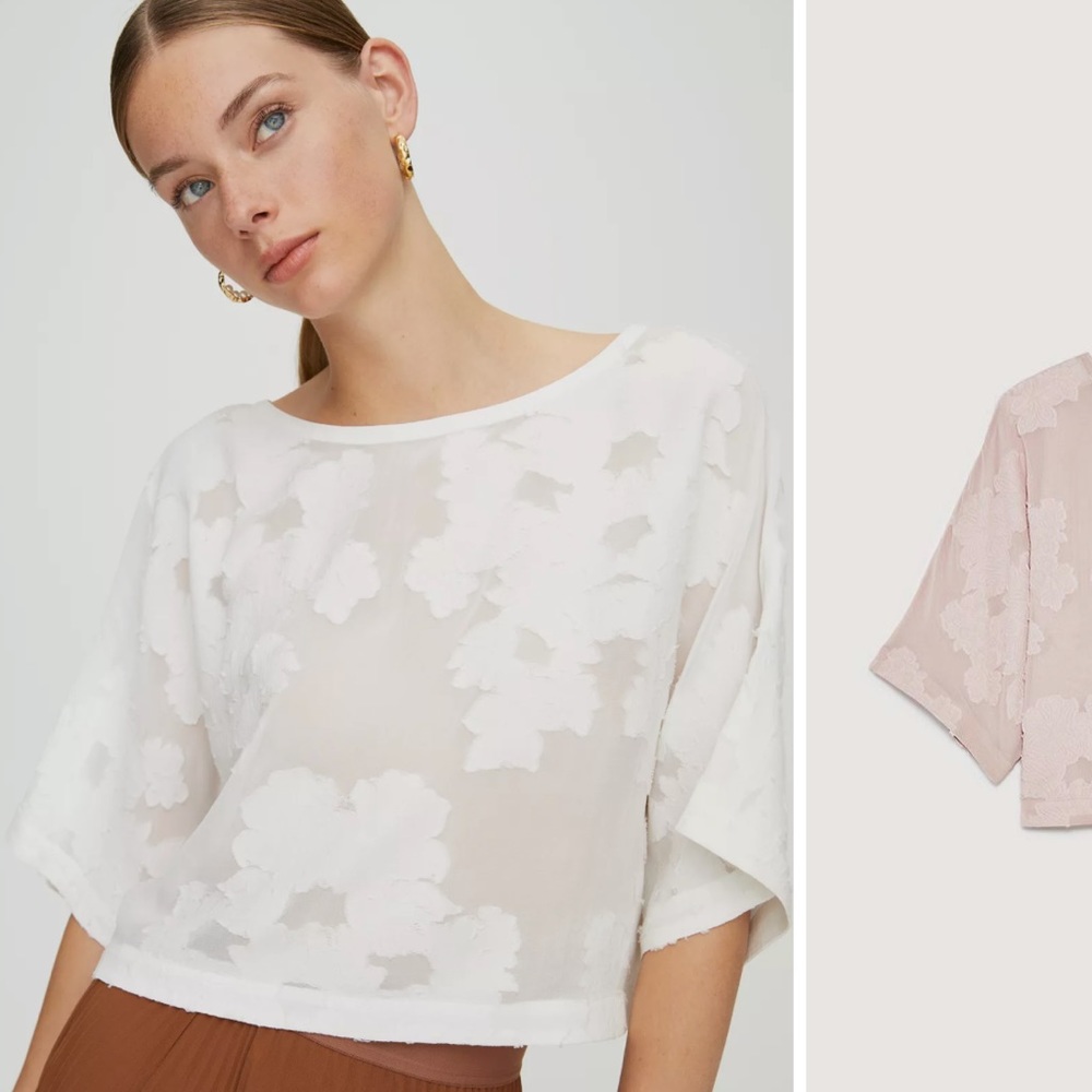 Aritzia Wilfred Blayze T-Shirt in Espace size XS
